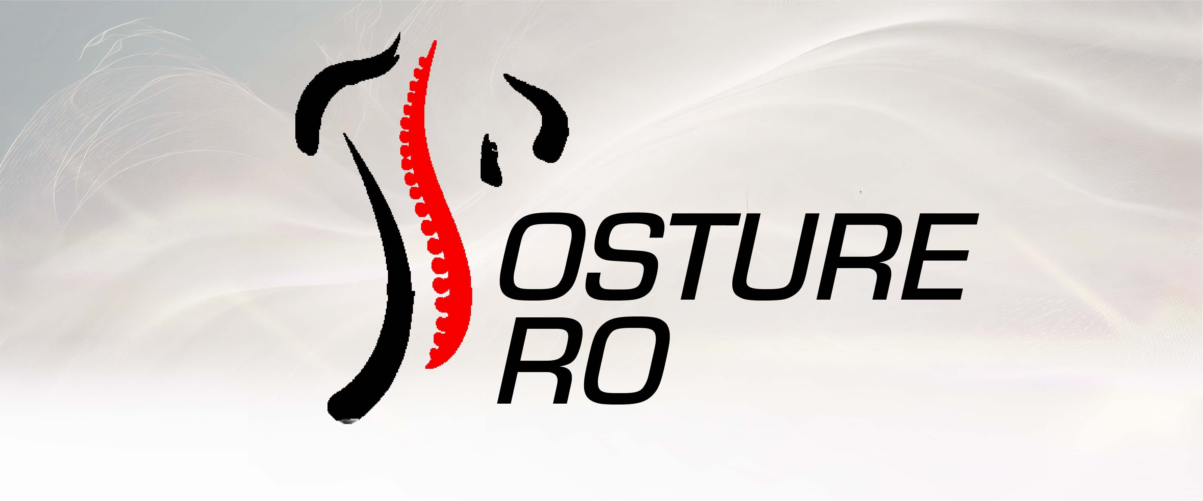 Posture Pro – Ventura Designs