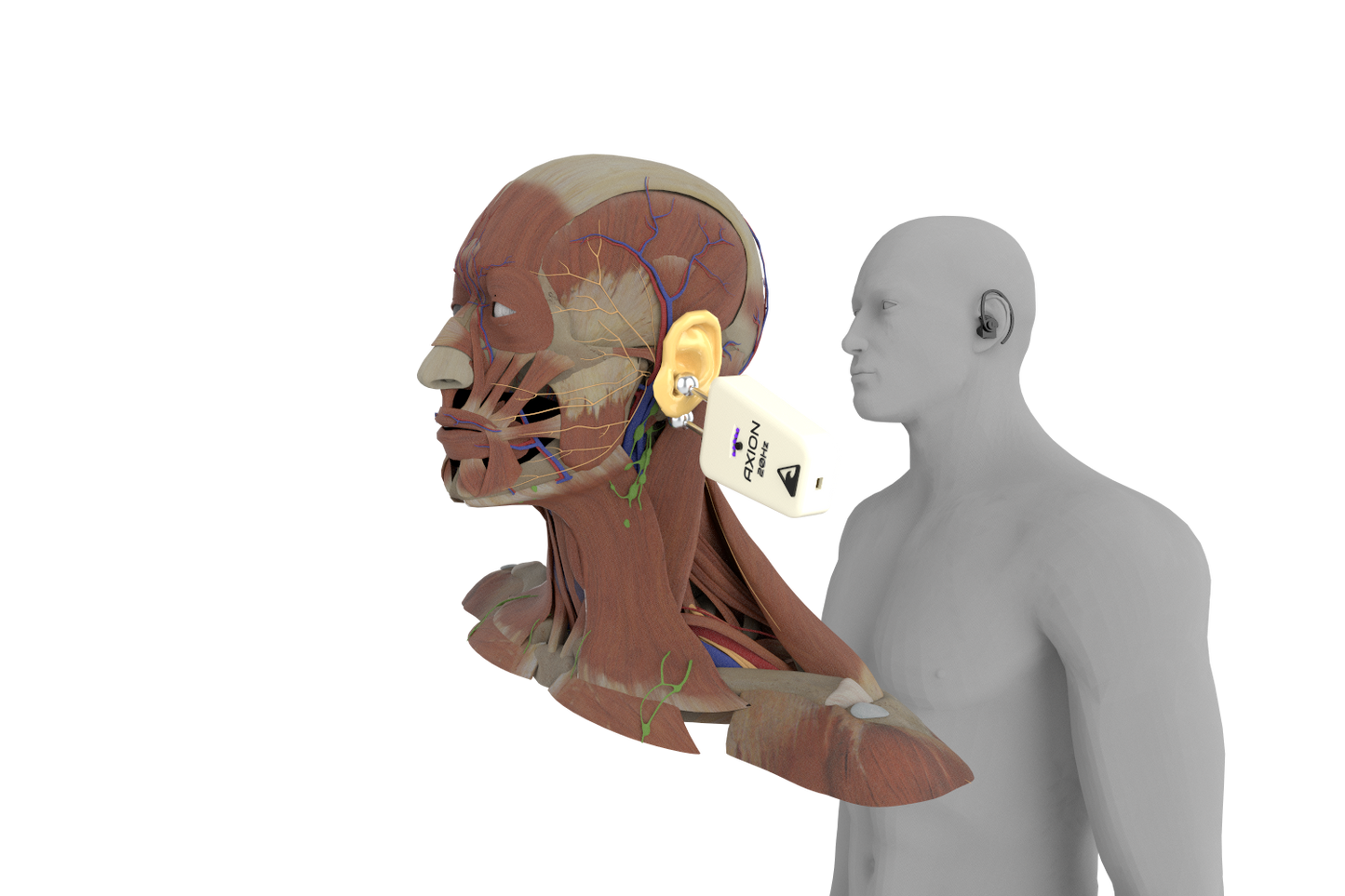 AXION Wave 20Hz Vagus Nerve System