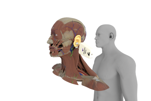 AXION Wave 20Hz Vagus Nerve System