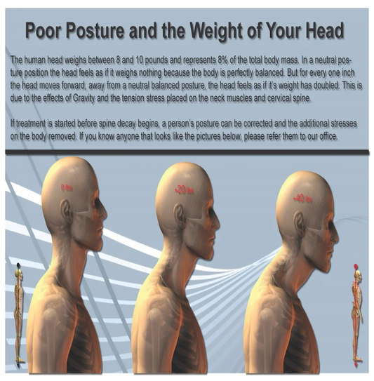Head Weight and Posture Poster  English