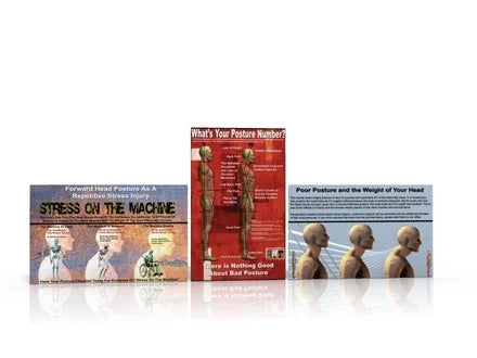 Three Best Posture Posters