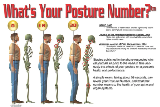 Original "What's Your Posture Number?" Poster