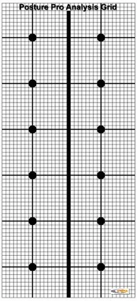 Posture Grid - Wall Mounted