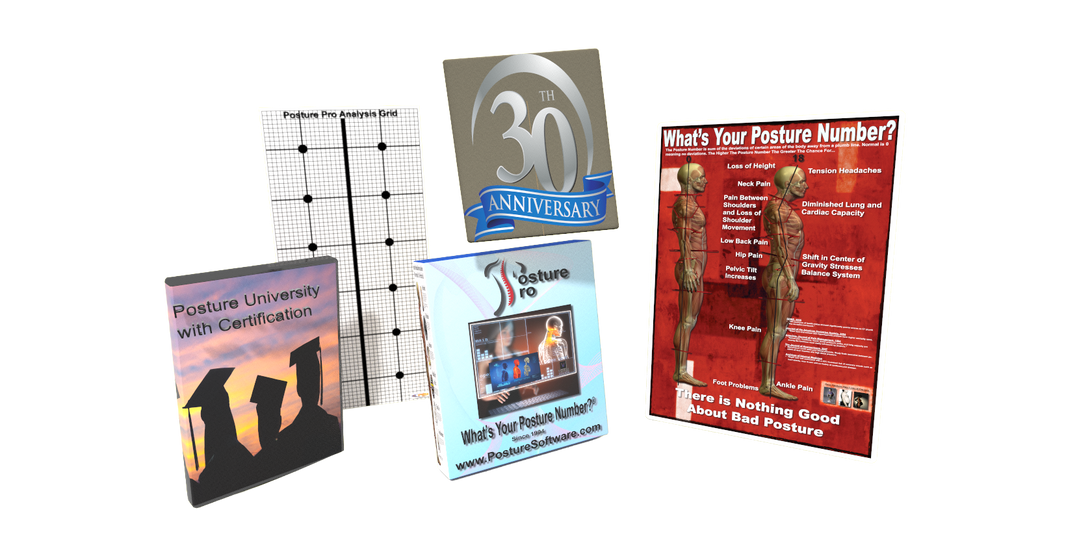Posture Pro – Ventura Designs