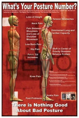 What's Your Posture Number? poster