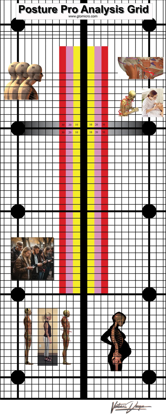 Posture Grid for Door